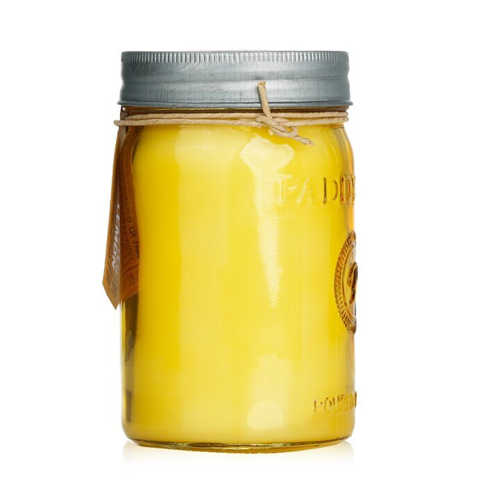 Paddywax Relish Candle - Fresh Meyer Lemon 269g/9.5oz